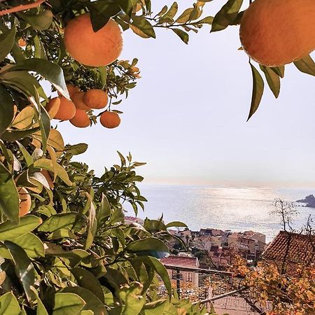 Apartman Lana Petrovac Exteriér fotografie