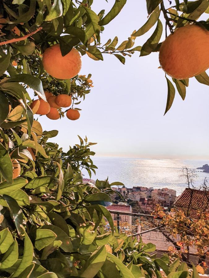 Apartman Lana Petrovac Exteriér fotografie